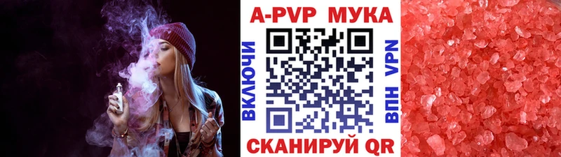 KRAKEN как войти  Сегежа  Alfa_PVP Соль 