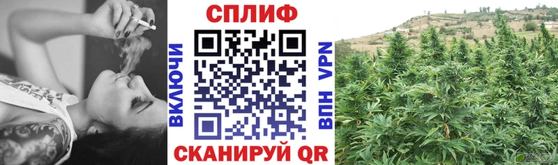 OMG   цены наркотик  Сегежа  Конопля тримм 